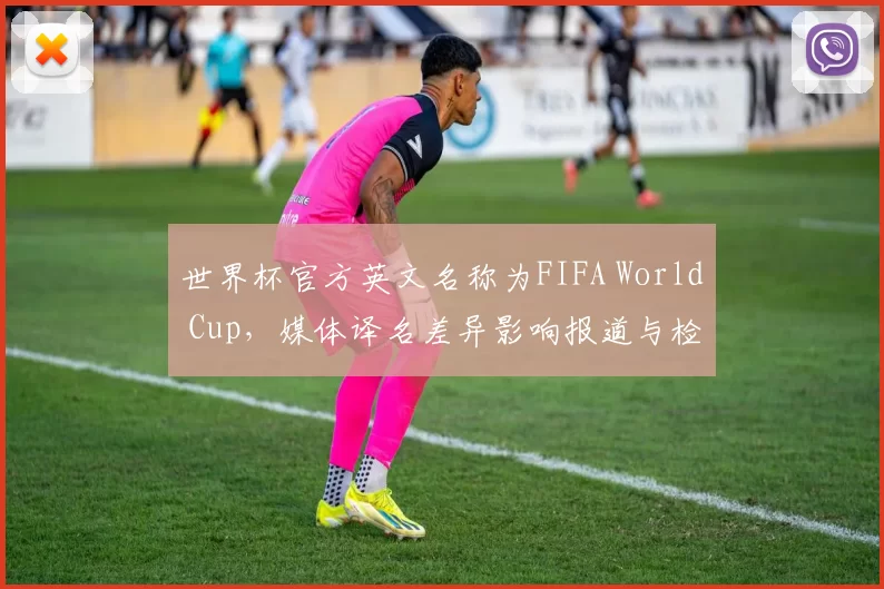 世界杯官方英文名称为FIFA World Cup，媒体译名差异影响报道与检索规范制定