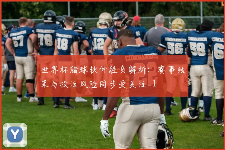 世界杯赌球软件胜负解析:赛事结果与投注风险同步受关注_1