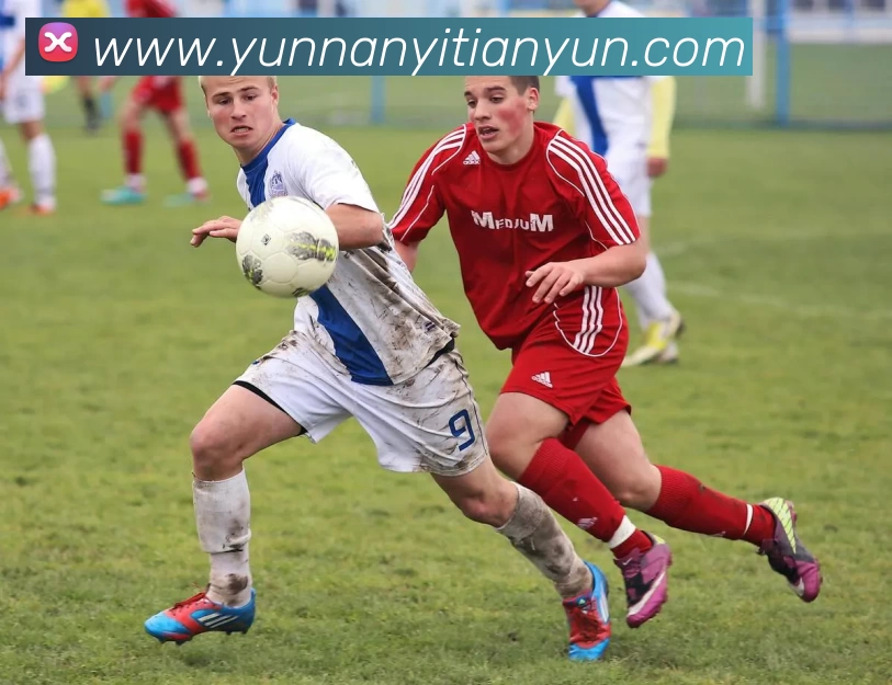 半岛网页版·网站入口 - 半岛online(中国)品牌故事